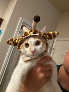 a man holding a cat wearing a giraffe hat