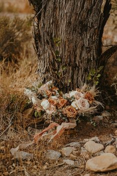 a bouquet of flowers sitting on the ground next to a tree with rocks and grass around it