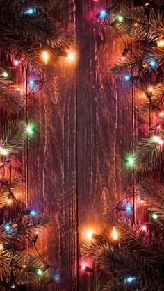 a christmas tree with many lights on it's branches and the background is wood