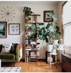 a living room filled with furniture and lots of plants on top of bookshelves