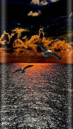 two seagulls flying over the ocean at sunset with clouds in the sky above