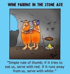 two men standing next to each other in front of a fire with the caption wine pairing in the stone age