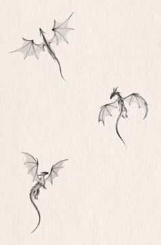 three dragon drawings on paper with one flying in the air and another flying down to the ground