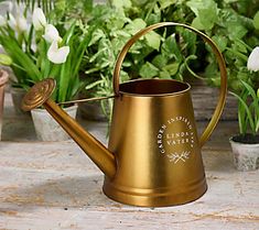 a brass watering can with a handle on the table next to some potted plants