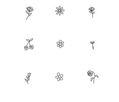 six different types of flowers are shown in black ink on a white background, each with one single flower