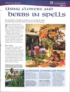 Spells Magic, Flower Magic, Nature Witch, Magical Herbs