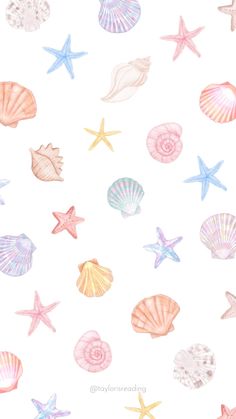 watercolor seashells and starfish on a white background for wallpaper or fabric