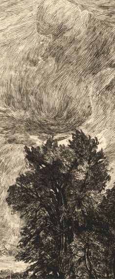 an ink drawing of a tree in the middle of a field with clouds above it