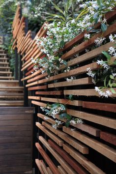 the wooden fence is lined with white flowers