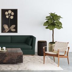 a living room filled with furniture and a potted plant on top of a table