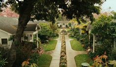 a narrow street with lots of trees and bushes on both sides, surrounded by houses