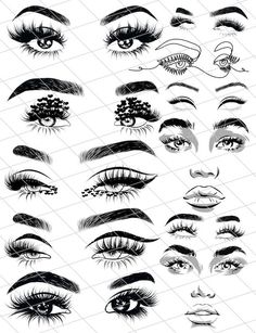 the different types of eyes and lashes are shown in this drawing technique, which is easy to draw