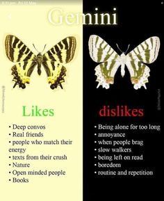 two different types of butterflies with the words germini and like's on them