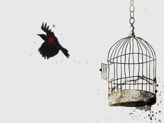 Ian Hart, Bird In A Cage, Caged Bird, Bird Tattoos, Birds Tattoo, Freedom Fighters, Think Tank