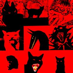 an image of cats on red and black background