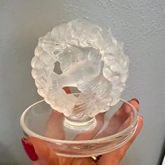 a hand holding a clear glass bowl with an object in it's center, on top of a white wall