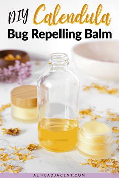 Bug repellant balm and calendula infused oil. Text overlay: DIY Calendula Bug Repelling Balm. Herbal Lip Balm, Chapped Lips Remedy, Healing Lip Balm, Lip Balm Recipe, Diy Lip Balm Recipes, Balm Recipe, Herbal Skin Care, Lip Balm Recipes, Homemade Lip Balm