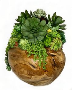 a wooden bowl filled with lots of green plants