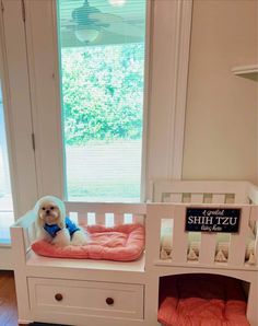 a small white dog sitting on top of a bed in a room next to a window