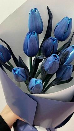 a bouquet of blue tulips is being held by a woman's hand