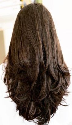 Hair Refresh, Haircuts For Long Hair With Layers, Hair Inspiration Long, Hairstyles For Layered Hair, Front Hair Styles, Haircuts For Medium Hair, Haircuts Straight Hair, Hairdo For Long Hair, Long Layered Hair