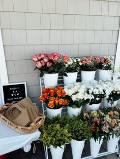 many different types of flowers are on display