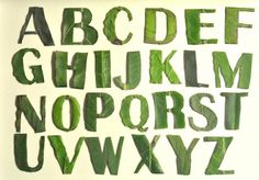 the letters and numbers are made out of green leafy leaves on a white background