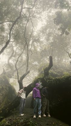 three people standing on top of a moss covered rock in the middle of a forest