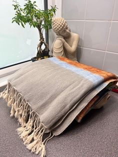 a blanket sitting on the floor next to a potted plant