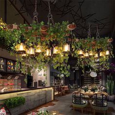 a restaurant with plants hanging from the ceiling