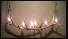 an antler with lights hanging from it's side