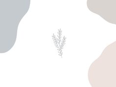 a single plant on a white and gray background