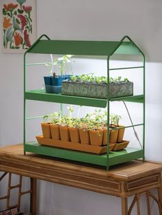 a green shelf filled with plants on top of a wooden table