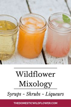 three different types of drinks in mason jars with the title wildflower mixology syrups - shrubs - liqueurs