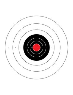 an image of a target that is in the middle of a bulls eye pattern on a white background