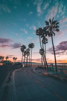 palm trees line the street as the sun sets over the ocean and beach in the background