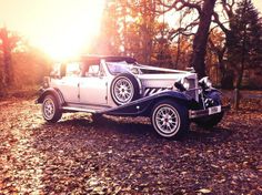 an old car is parked on the ground in front of some trees and fallen leaves