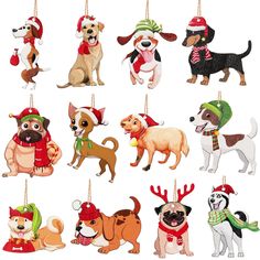 a group of dogs hanging from strings with hats and scarves