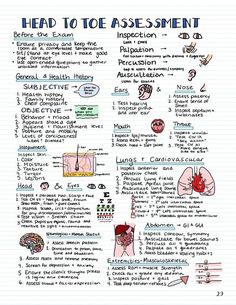 a hand drawn diagram with the words head to toe and an image of different things in it