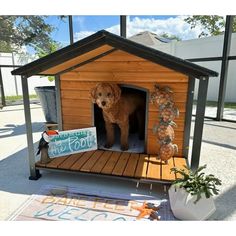 a dog is standing in its kennel with the door open