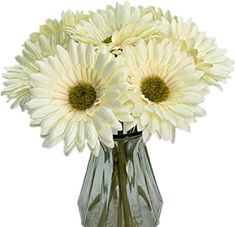 a vase filled with white flowers on top of a table