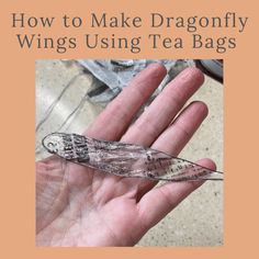 a hand holding a tea bag with the words how to make dragonfly wings using tea bags