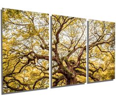 three panels of trees with yellow leaves on them, in front of a white background