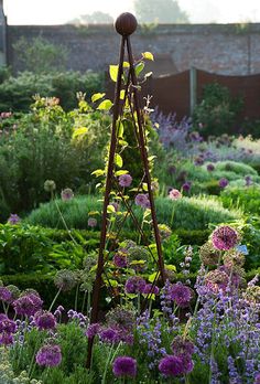 a garden filled with lots of purple flowers