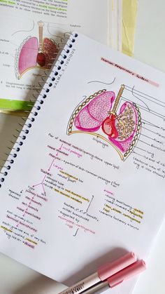 a notepad with an illustration of the human heart on it next to a pen