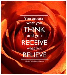 a red rose with the words you attract what you think and you receive what you believe