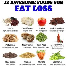 Calorie Guide, Foods For Fat Loss, Thermogenic Foods, Curb Appetite, High Protein Low Calorie, Fat Loss Foods, Fiber Rich Foods, High Fiber Foods, Fiber Foods