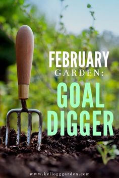 a garden tool sitting on top of dirt with the words, february garden goal digger