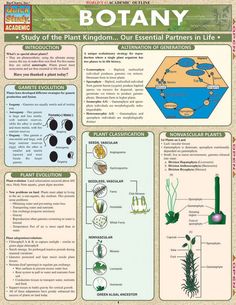 the plant kingdom poster is shown with information about plants and their life cycles in it