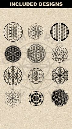 a bunch of circles that are drawn on paper